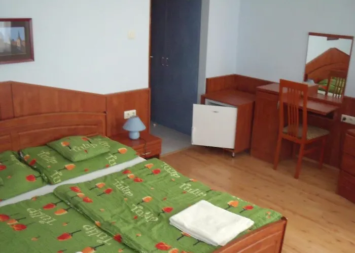 Casa de hóspedes Sasi Panzió 2